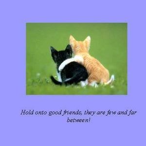 Meet your Posher, Marilyn